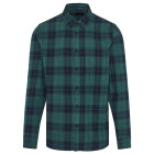 PINE GREEN
